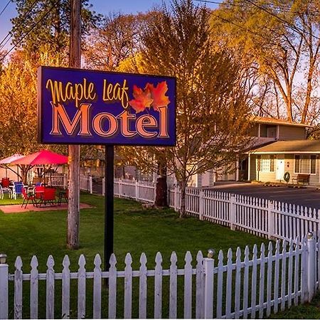 Maple Leaf Motel Shady Cove Экстерьер фото