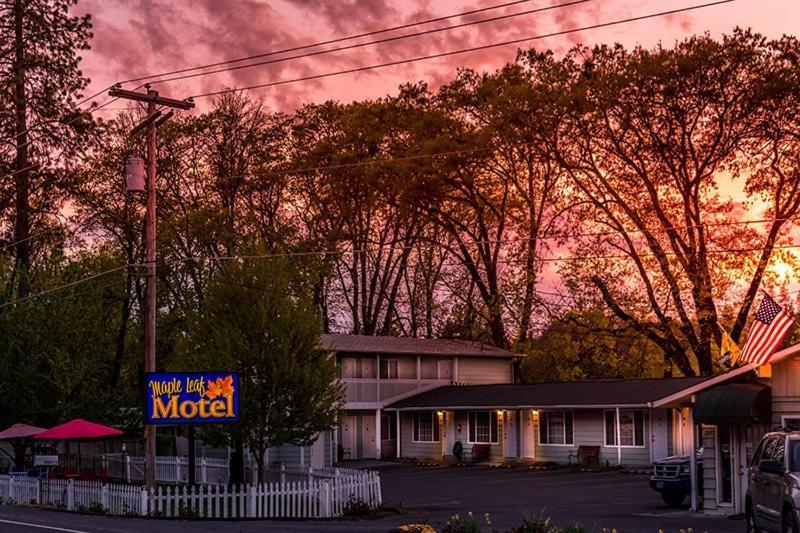 Maple Leaf Motel Shady Cove Экстерьер фото